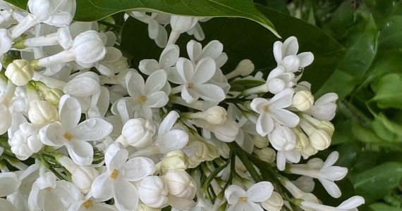 Hình ảnh liên hệ