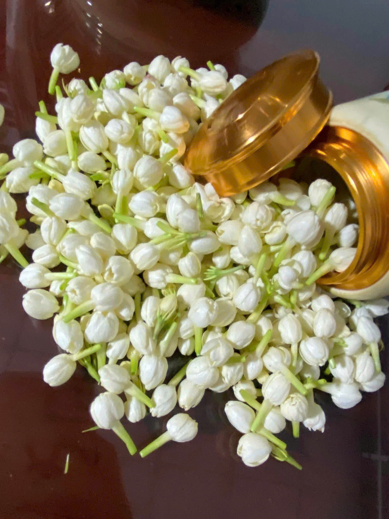 Địa chỉ mua bán hoa nhài tươi, khô ở đâu giá rẻ?