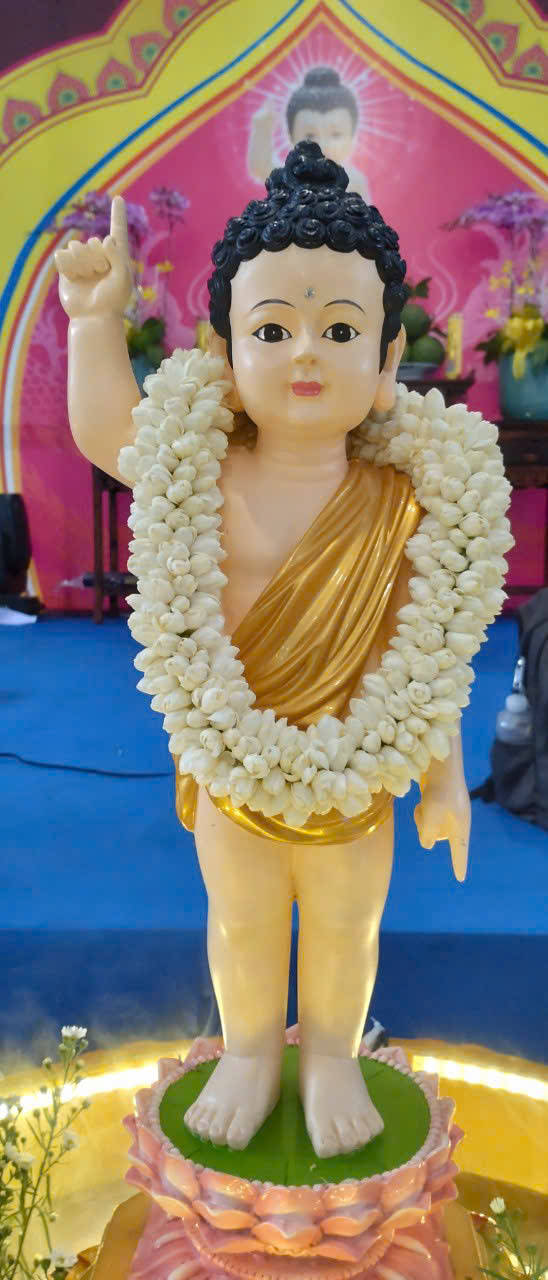 Hoa Lài 5